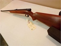 Winchester 74   22LR