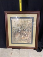 Bobwhite Quail Framed Wildlife Print