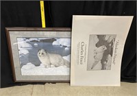 Alaskan Friend, Charles Frace, Fox, Framed Print