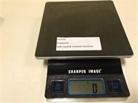 Electronic Scale