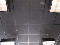 Black ceiling tile +/- 300