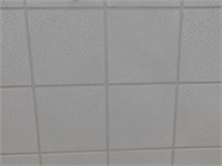 Ceiling tile +/-650 pieces