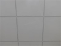 Ceiling tile +/- 500 pieces