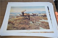 14- PRINTS ! -ELK, INDIAN, HORSE !