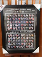 Greatest NHL Players By Jersey Numbers Print
