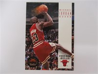 1993-94 Skybox Michael Jordan #45