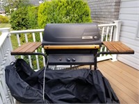 Thermos Gas grill with cover