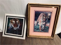 2 Tiger Photos