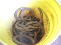 BUCKET OF HORSE SHOES