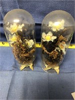 Pair of Glass Jars with Flowers Inside