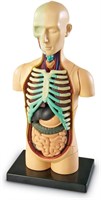 NIDB Learning Resources Human Body Model, Science