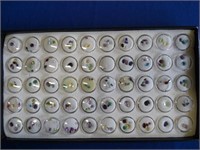 semi-precious stone collection (2 trays)