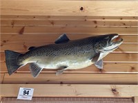 Brown trout mount (Joe Fittante) appr 30"