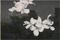 Cotton Ketchie Orginial Watercolor "Dogwood"