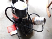 Dayton Sump Pump