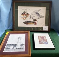 (3)Framed Prints