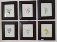 Six framed floral watercolors