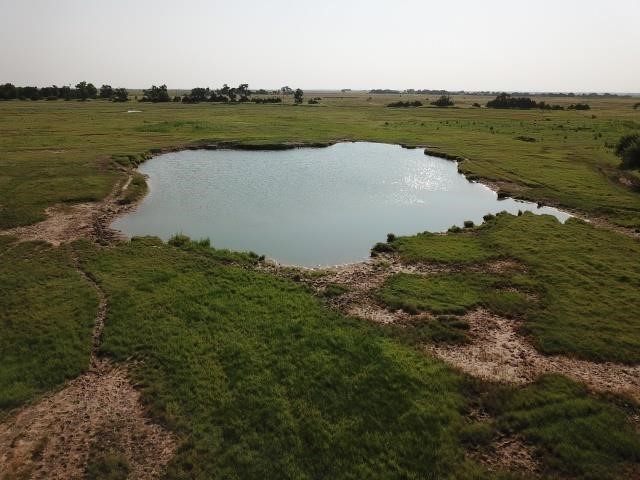 8/11 160 +/- Acres | Good Livestock Land | Ponds | Aline, OK