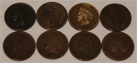 Lot of 8 Indian Head Pennies