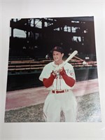 Stan Musial AUTO 8X10 Photograph