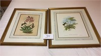 2 hummingbird pictures 28.5 tall x 24.5 wide and