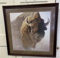 Robert Bateman "Chief" Buffalo Print