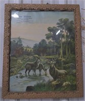 (AB) Deer in nature framed print 22.5x18.5