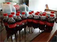 (14) Bottles of Coca-Cola 12 Oz.