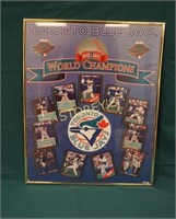 Blue Jay's World Champions Picture Framed