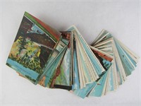 Vintage CO Post Cards (146) unsued