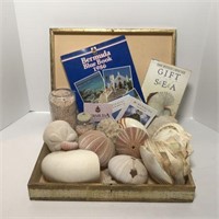 Box Of Sea Shells and Books from Bermuda