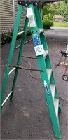 6’ Werner Ladder