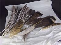 Large Group of Feathers