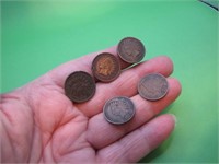 5 Indian Head Pennies