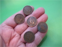 5 Indian Head Pennies