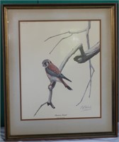 Framed "American Kestrel" Print by Guy Coheleach