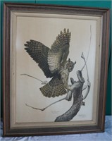 Framed "Great Horned Owl" Print by Guy Coheleach