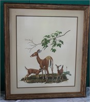 Framed "Whitetail Deer" Print by Ray Harm