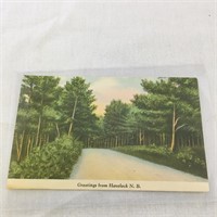 Vintage Havelock New Brunswick Postcard