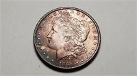 1889 Morgan Silver Dollar Uncirculated Toned