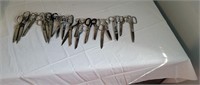 Assortment of Scissors