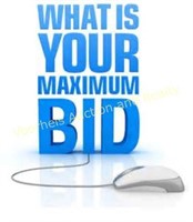 Maximum Bidding