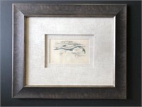 Pair Framed Antique Shark Prints Hand Colored