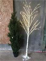 Lot of Two Decorative Trees