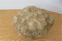 1 Larger Size Geode,approx 6"