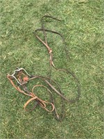 Horse single bit and reins