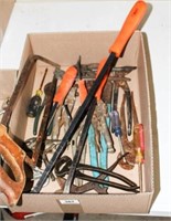 Tools - Visegrips, pliers, saw