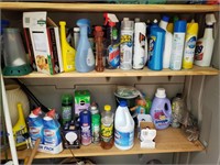 Household Chemicals (porch shed)