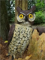 Owl (yard)