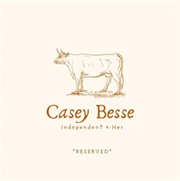 Casey Besse